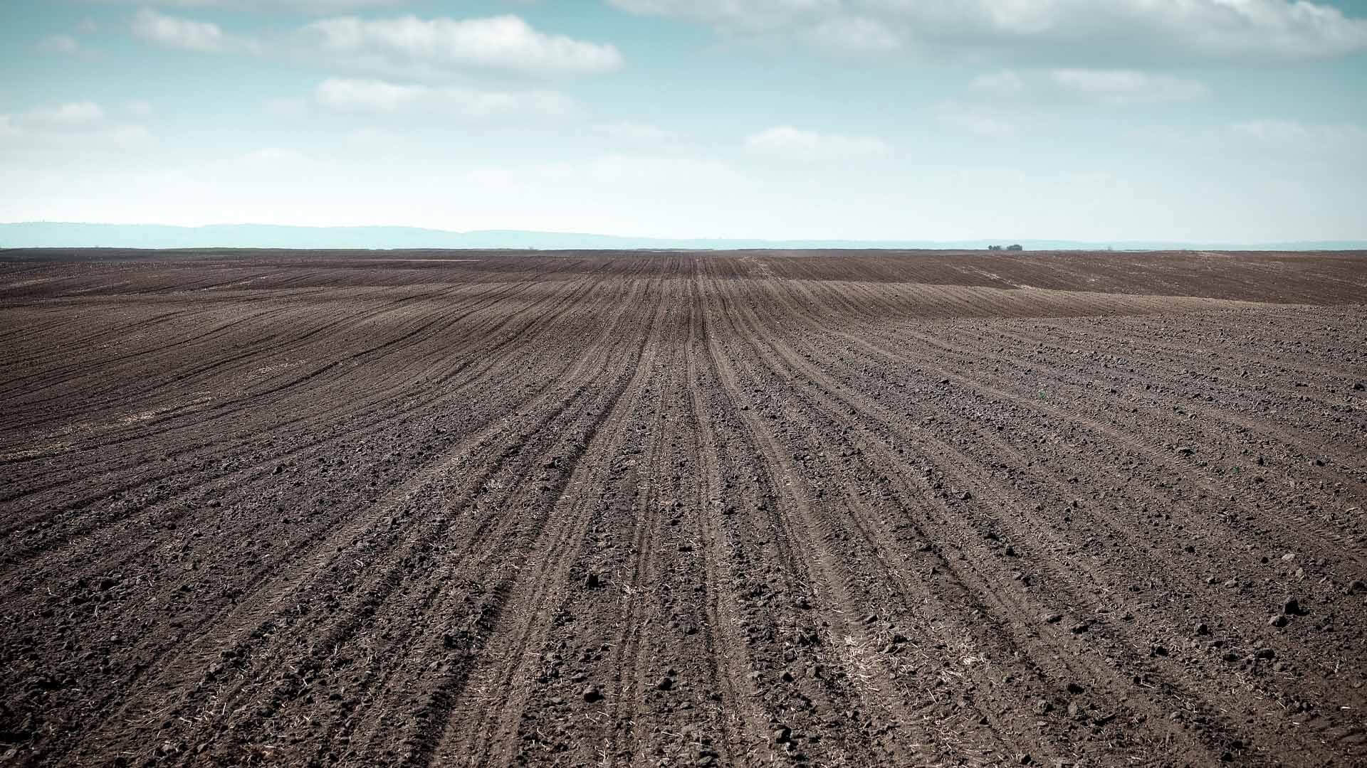 This page does not exist