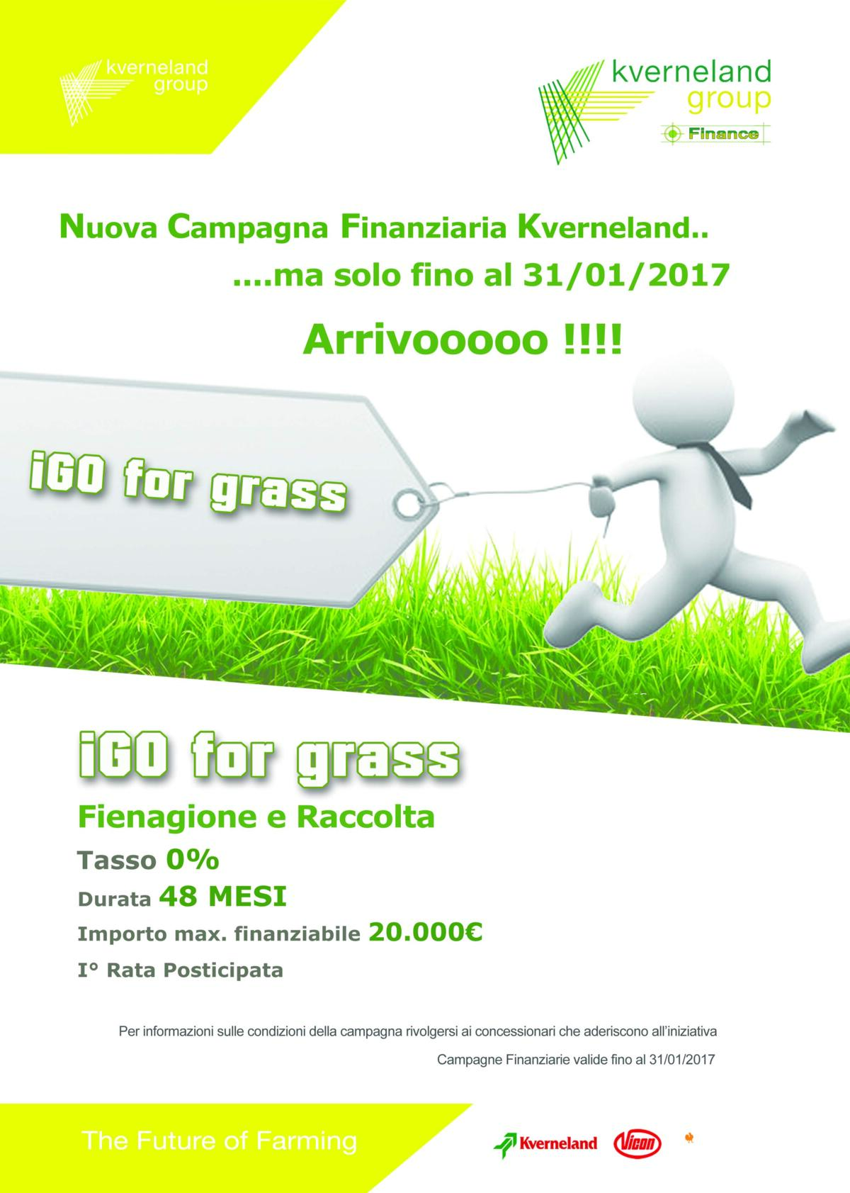 Volantino Grass -2017