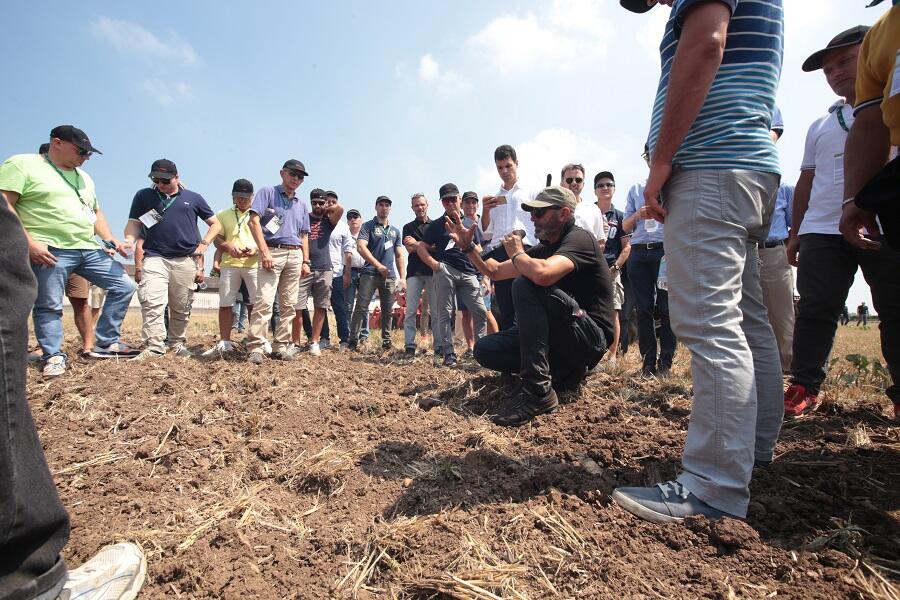 campo3